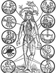 Τα Ζώδια και η Θεραπεία μέσω της Μουσικής